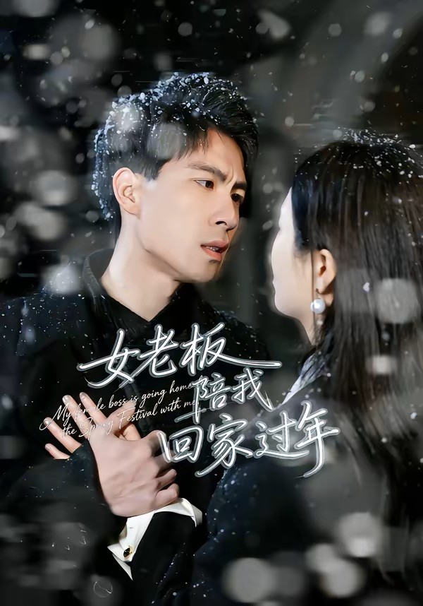 女老板陪我回家过年
