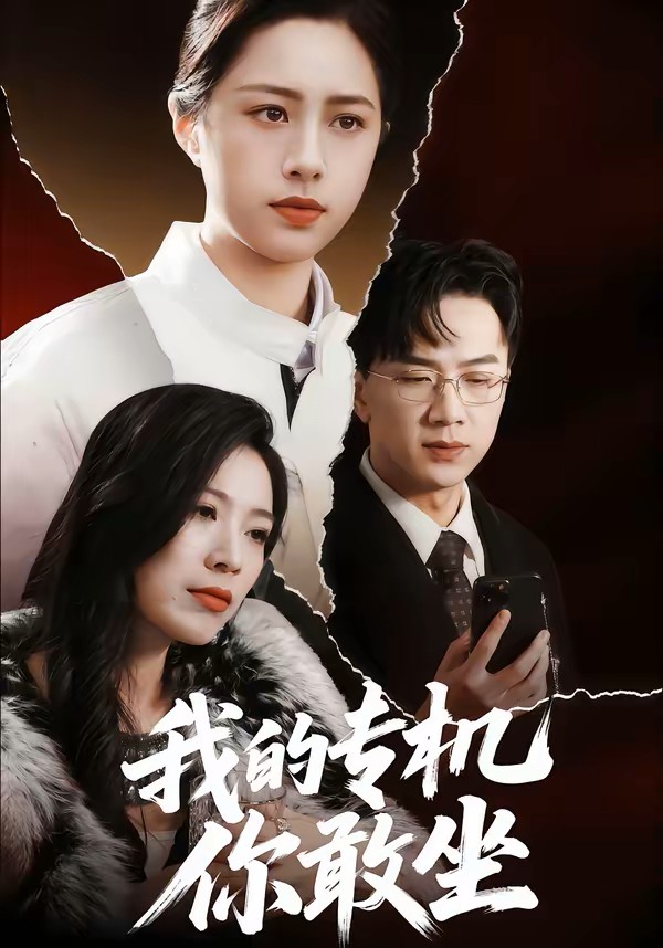 我的专机你敢坐