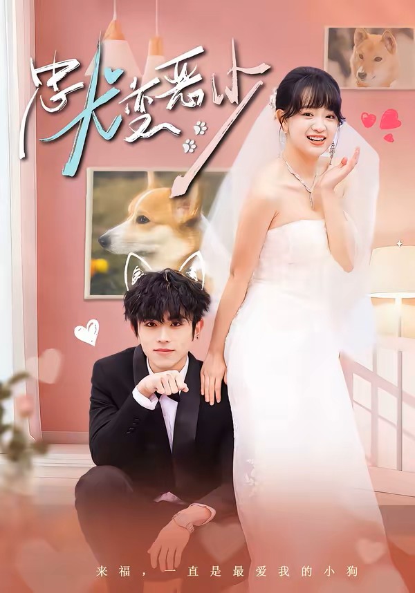 惊！我家来福变恶少了