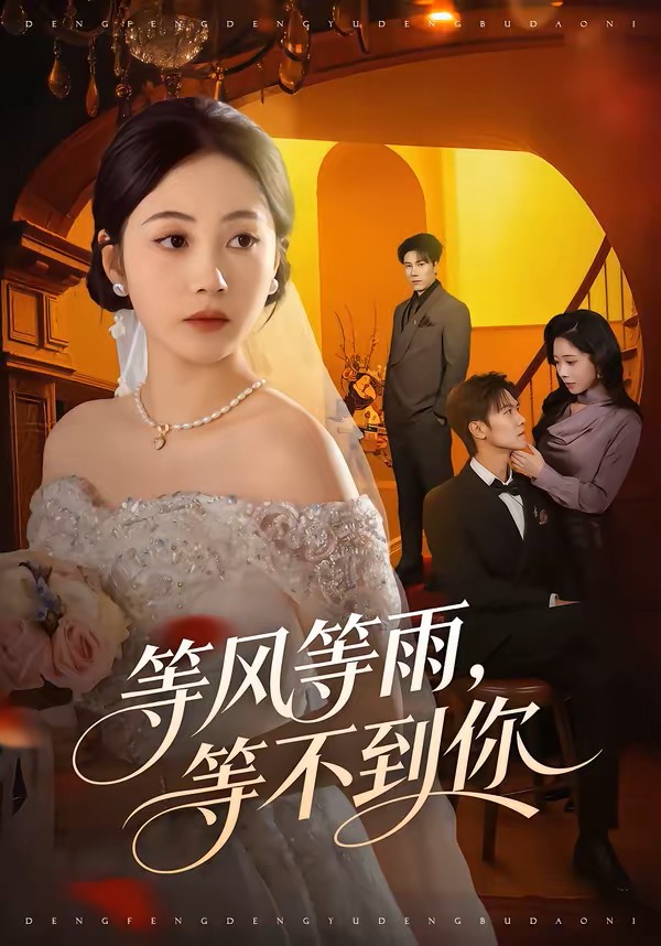 等风等雨，等不到你