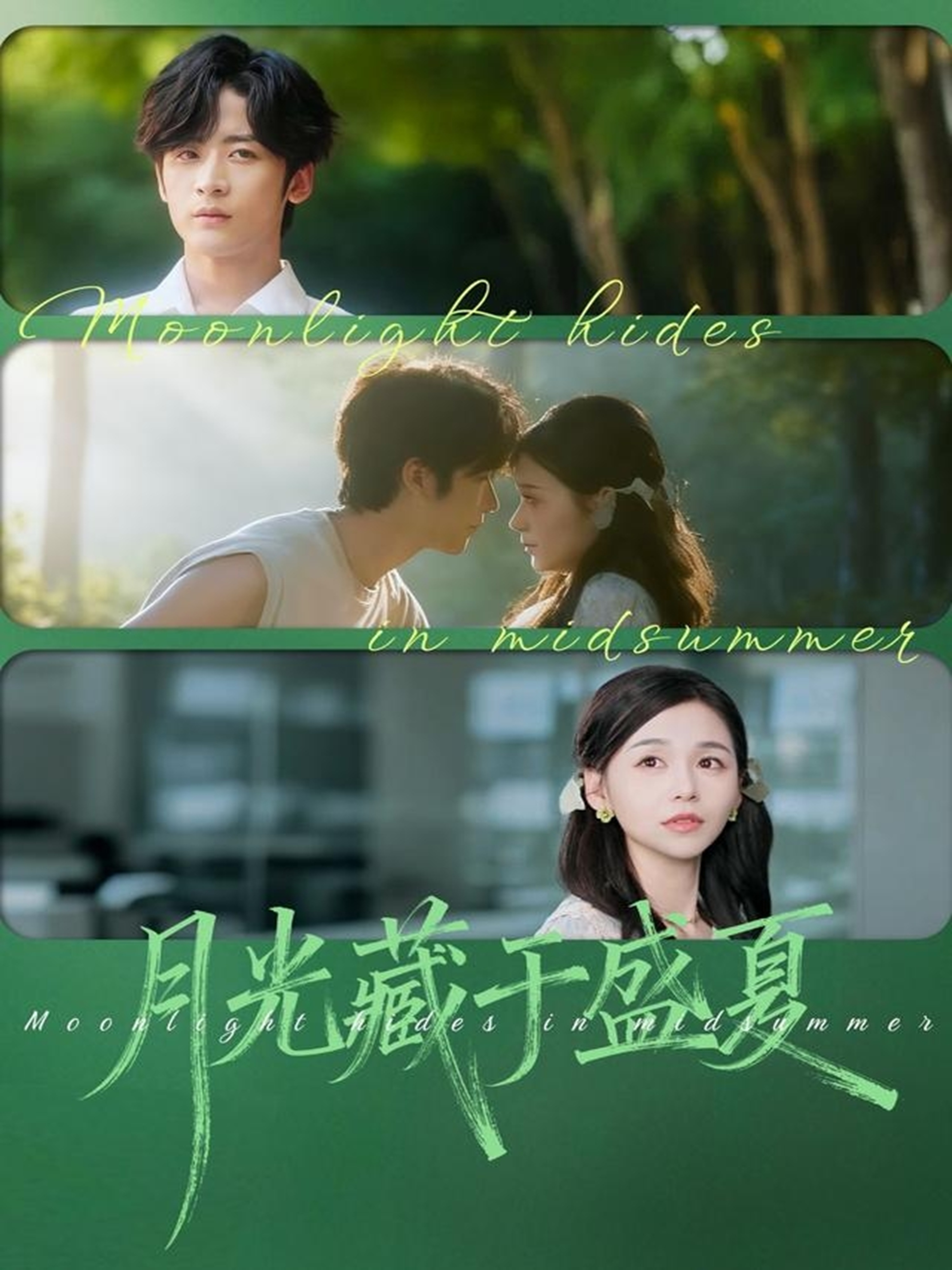 杀鱼十年我是总裁白月光